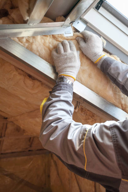 Best Insulation for New Construction  in Ben Bolt, TX